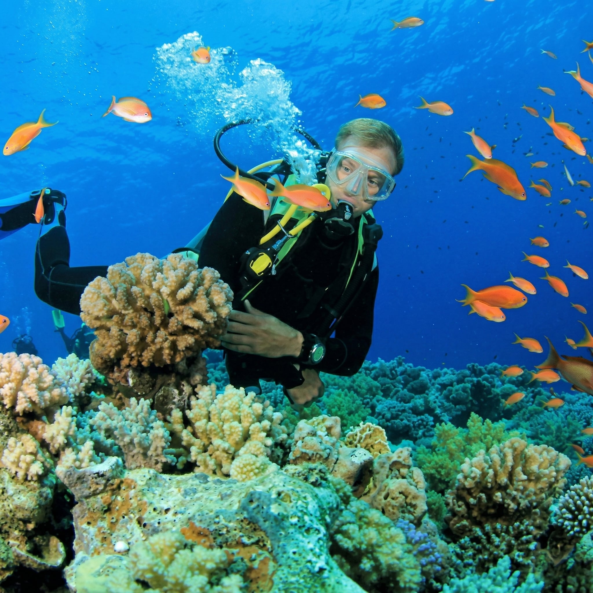 Scuba Diving Kemer 1