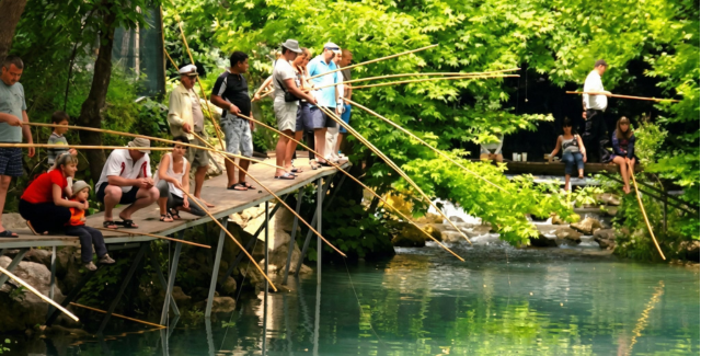 fishing about